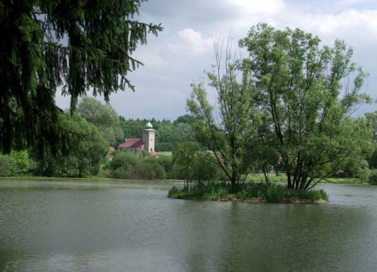 rybník v Trnávce